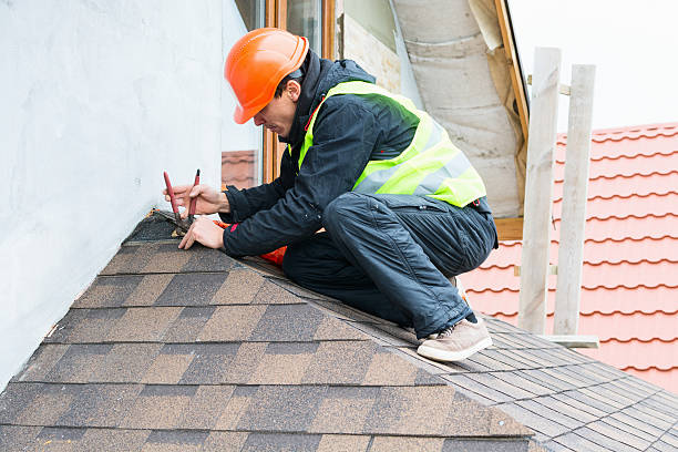 Best Roof Gutter Cleaning  in Grandview Plaza, KS
